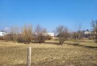 Baugrundstück Wels-Ost Ginzkeystraße