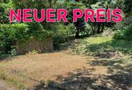 Großzügiges Baugrundstück mit Abbruchhaus und Grünlandanteil Nähe Purkersdorf