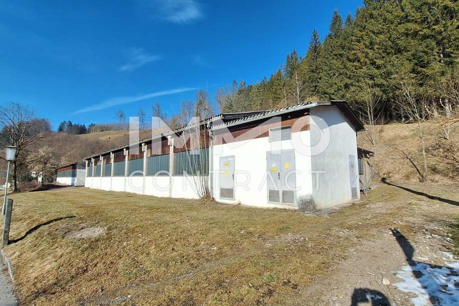 Lager-, Montage- u.o. Produktionshallen mit Freiflächen in Opponitz - Ybbstal zu mieten, Gewerbeobjekt-miete, 3.000,00,€, 3342 Amstetten