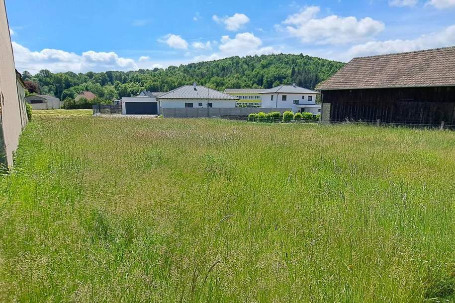 BAUGRUND - NEU AM MARKT, Grund und Boden-kauf, 65.000,€, 3571 Horn