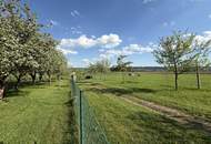 Provisionsfrei - Schönes Freizeitgrundstück mit Obstgarten