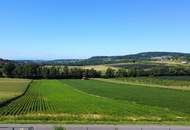 Aussicht: unglaublich - Lage: perfekt - Wohnfläche erweiterbar