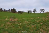 Die Gelegenheit! Günstiger Baugrund in St. Johann in Engstetten/St. Peter/Au.