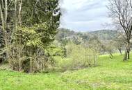 "Bastlerhaus in ruhiger Waldlage"