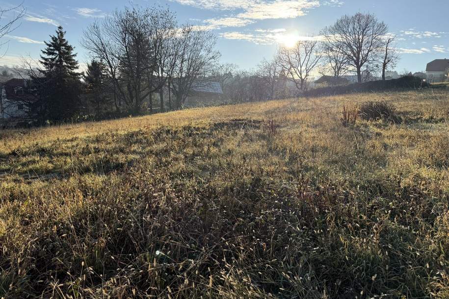 sonniger Baugrund mit Fernsicht zu verkaufen, Grund und Boden-kauf, 177.000,€, 7203 Mattersburg
