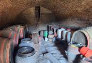 ALLEINLAGE: Sanierungsbedürftiger Vierkanthof mit ca. 17ha Land zu verkaufen