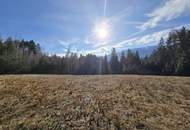 Sonniges Baugrundstück am Sonnenplateau mit Blick auf das Goldeck unweit des Millstättersees