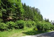 GUT ERSCHLOSSENER WALD, ZUR NACHHALTIGEN NUTZUNG UND ANLAGEZWECKEN!