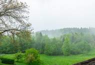 Charmantes Winzerhaus in der Sausaler Weingegend