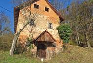 ALLEINLAGE: Sanierungsbedürftiger Vierkanthof mit ca. 17ha Land zu verkaufen