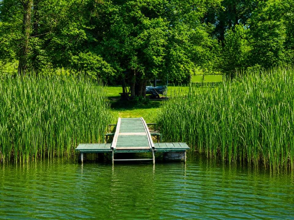 Direkt am Obertrumer See: Badegrundstück mit Steg, Boje & Weinfass-Schlafplatz