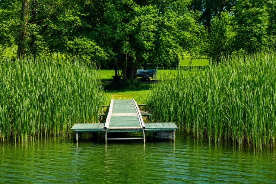 Direkt am Obertrumer See: Badegrundstück mit Steg, Boje & Weinfass-Schlafplatz, Grund und Boden-kauf, 5163 Salzburg-Umgebung