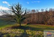 Baugrundstück mit landwirtschaflicher Nutzfläche!