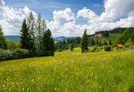 „Panorama-Grund“ mit atemberaubendem Blick im Sonnenort Diex
