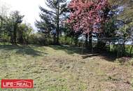 Grundstück mit Seltenheitswert am Mattsee, KEIN BAULAND