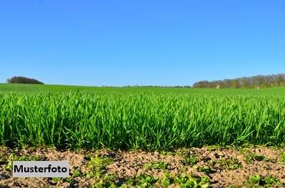 Landwirtschaftsflächen + provisionsfrei +