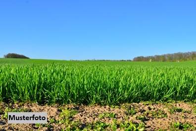 Landwirtschaftsflächen + provisionsfrei +, Grund und Boden-kauf, 107.000,€, 7142 Neusiedl am See