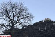 Wohnen zentrumsnah mit grünem Ausblick