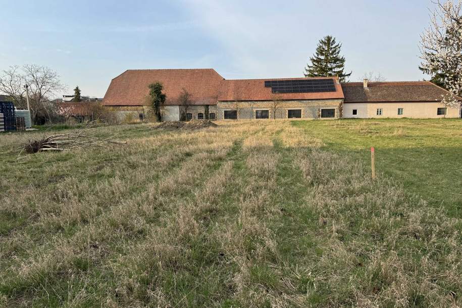 "Bauen - Leben - Ankommen", Grund und Boden-kauf, 169.000,€, 3483 Tulln