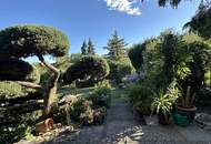 Charmantes Einfamilienhaus mit idyllischem Garten