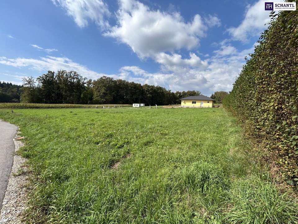 FABELHAFTES Grundstück! VOLLERSCHLOSSENES und FLACHES BAUGRUNDSTÜCK! TOP Anbindung! IDYLLISCHE Umgebung!