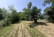 Grundstück mit Altbestand