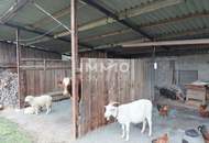 PREIS-NACHLASS: LANDWIRTSCHAFT ZUM WACHKÜSSEN NAHE BURGAU - STEGERSBACH