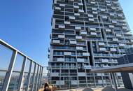 TOP FÜR ANLEGER | TERRASSSENWOHNUNG | 3 ZIMMER | VERMIETET |