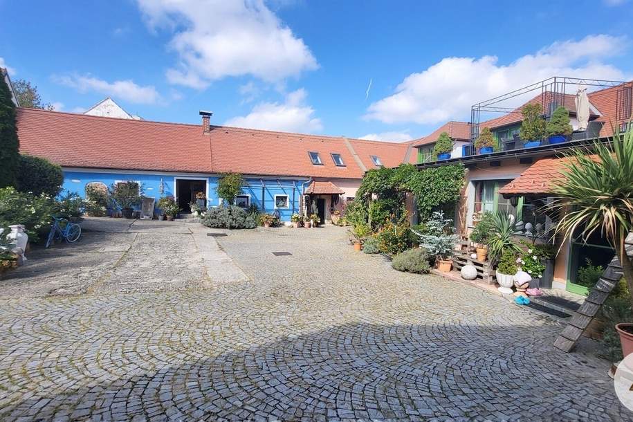 Paradies auf Erden 3 Wohneinheiten, Haus-kauf, 690.000,€, 3592 Horn