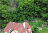 Ihr Traum vom Wohnen in Alleinlage im südlichen Waldviertel!