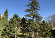 Licht. Ruhe. Effizienz. Stilvolle Maisonette mit Südterrasse in Wien-Mauer | ZELLMANN IMMOBILIEN