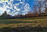 Südhang-Grundstück mit unverbaubarem Fernblick auf die Kärntner Bergwelt