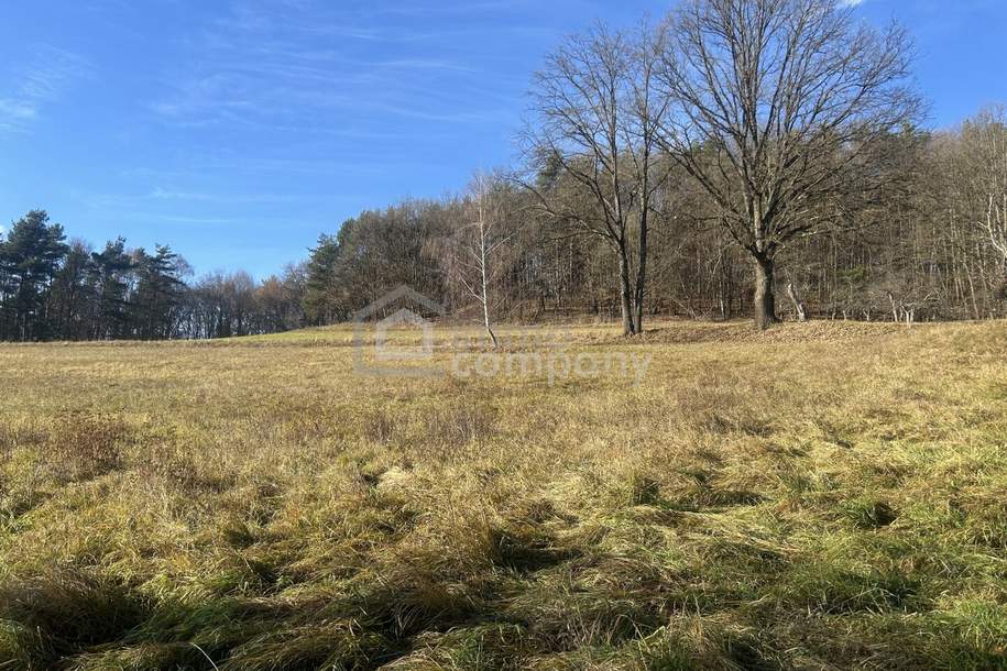 Sehr schönes Grundstück für Selbstversorger oder ....., Grund und Boden-kauf, 74.000,€, 8384 Jennersdorf