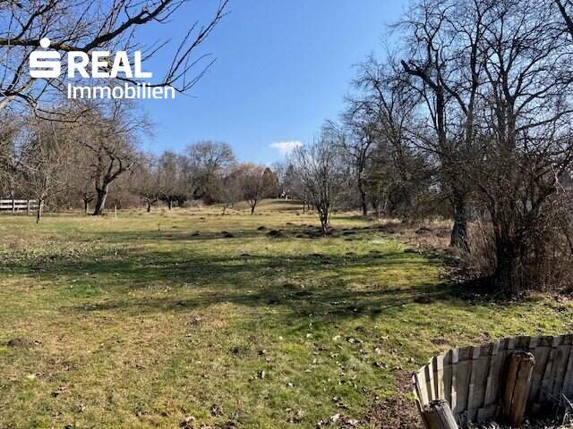 Seltene Gelegenheit: Großes Haus mit 3.100 m² Grundstück in Bad Tatzmannsdorf