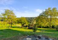 Ihr Rückzugsort in ruhiger Südhanglage! Vollunterkellerter Bungalow mit gut 5.500 m² Grundstück