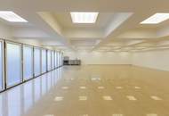 Kröpfelsteigstraße - exklusives Anwesen mit einem 11.045m2 großem Grundstück zu vermieten