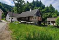 Bauernhaus mit Nebengebäude zwischen Hermagor und Villach - renovierungsbedarf