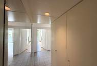 Erstbezug nach Teilsanierung, Terrassenwohnung im Grünen // First occupancy after part-renovation, Terrace Apartment in the greenery //
