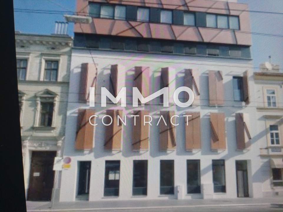 Kompakt, gemütlich, zentral – Die ideale Singlewohnung