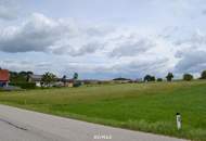 Grünland in Voitschlag *NEUER PREIS* attraktive Fläche zur langfristigen Vorsorge