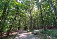 “Rare Parkside Living! Beside Vienna’s Romantic English Garden!“
