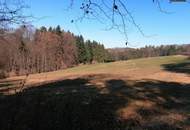 11.400 m² Grundstück in Lödersdorf – Ideal für Agri-PV
