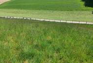 landwirtschaftlicher Grund mit guter Anbindung