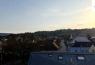 Klosterneuburg: Stilvolle Garçonnière mit Weinberg- und Wiesenblick – perfekte Anlage