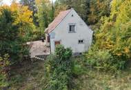 Viel Platz im Grünen: Haus mit Garage auf 8.580 m² Grundstück in Plankenberg