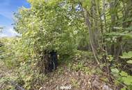 Historisches Landhaus-Juwel mit uneinsehbarem Innenhof und eigenem Gartenparadies im sonnigen Weinviertel