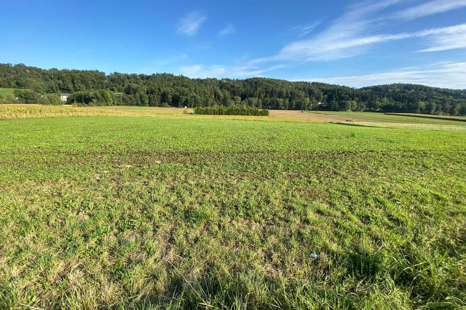 Landwirtschaftliche Nutzfläche in guter Vasoldsberger Lage, Grund und Boden-kauf, 406.000,€, 8076 Graz-Umgebung