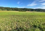 Landwirtschaftliche Nutzfläche in guter Vasoldsberger Lage