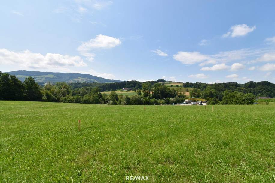 Wohnen im Grünen &amp; doch stadtnah! 729 m² Baugrund mit traumhaftem Ausblick in ruhiger/grüner Lage!, Grund und Boden-kauf, 105.000,€, 4441 Amstetten
