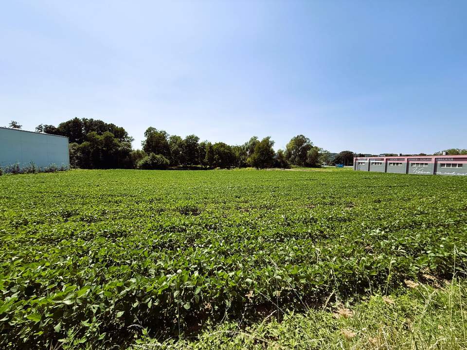Attraktives Gewerbegrundstück als BAURECHT im Industriegebiet Oberwart